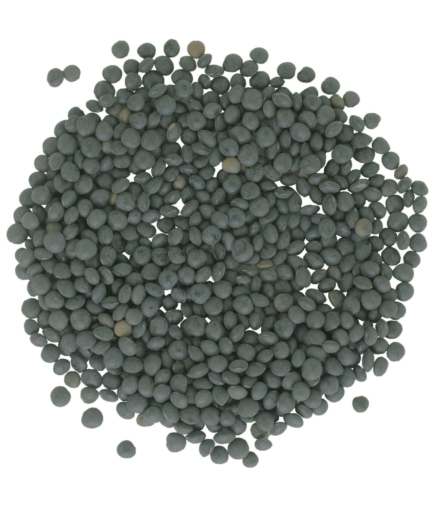 Black Lentils (Beluga)