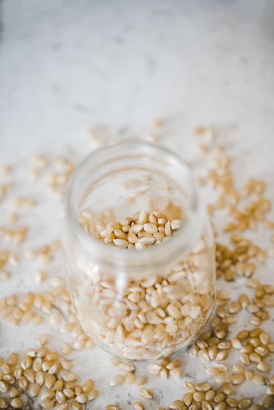 Medium White Hulless Popcorn