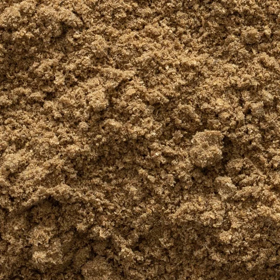Coriander seed ground
