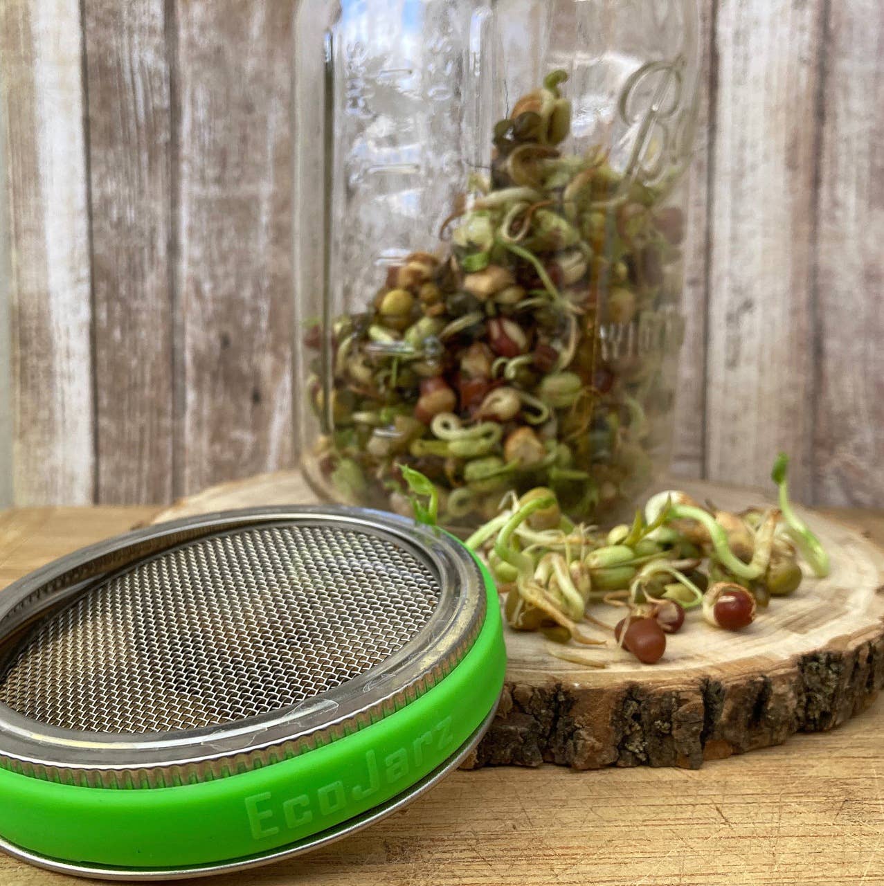 Stainless Steel Screen for Mason Jars - Wide Mouth: No Retail Packaging