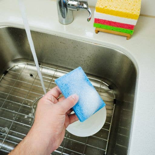 Compostable Cellulose Sponge