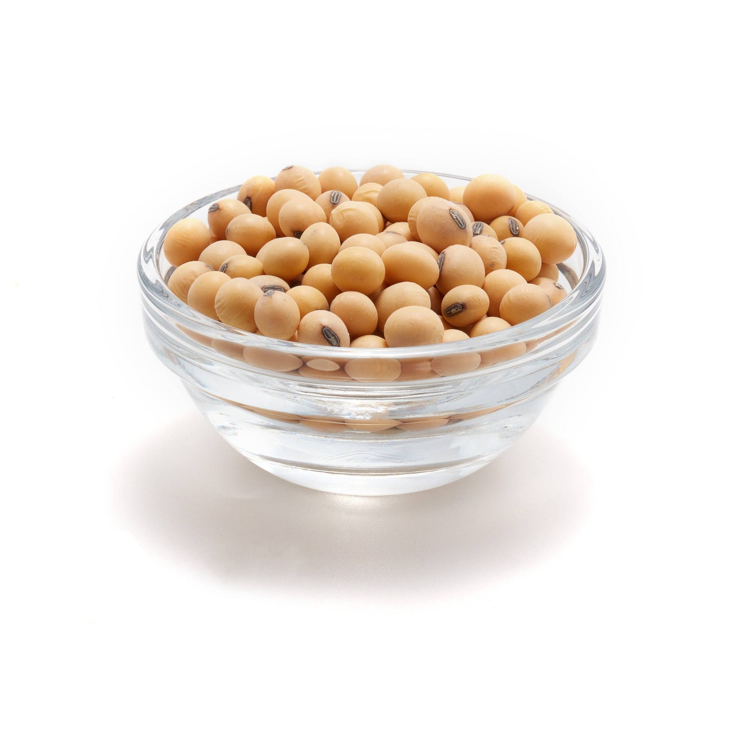 Organic Raw Soya Beans