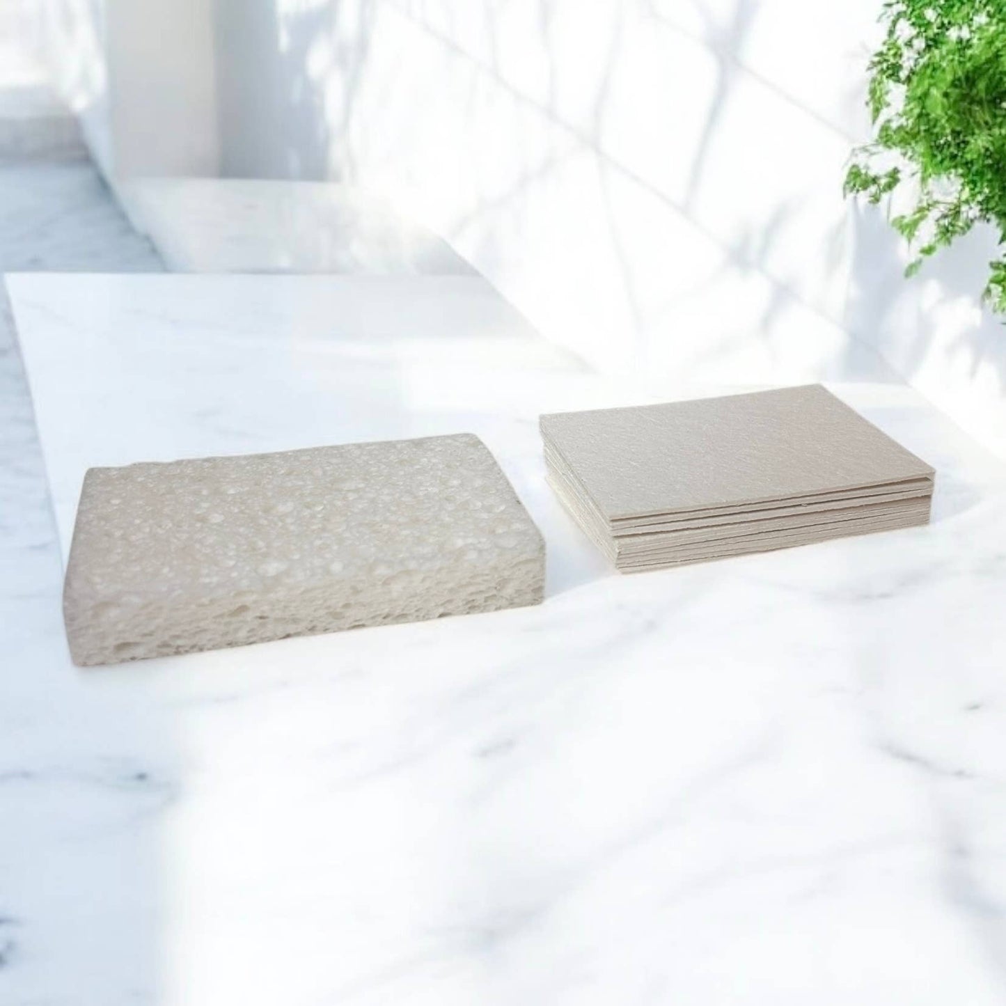 Compostable Cellulose Sponge