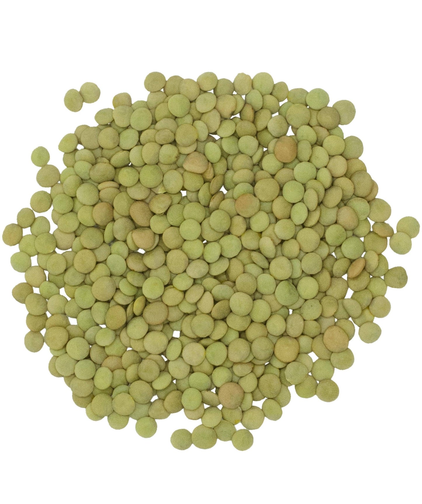 Green Lentils