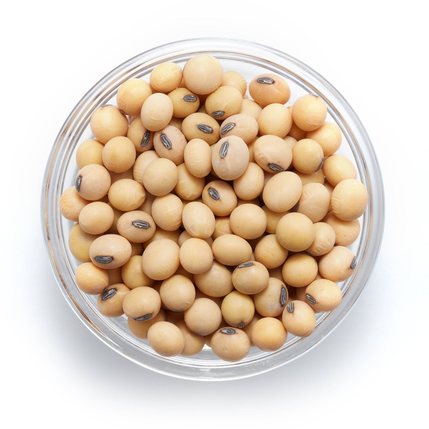 Organic Raw Soya Beans