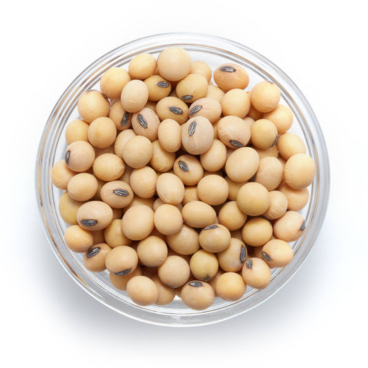 Organic Raw Soya Beans