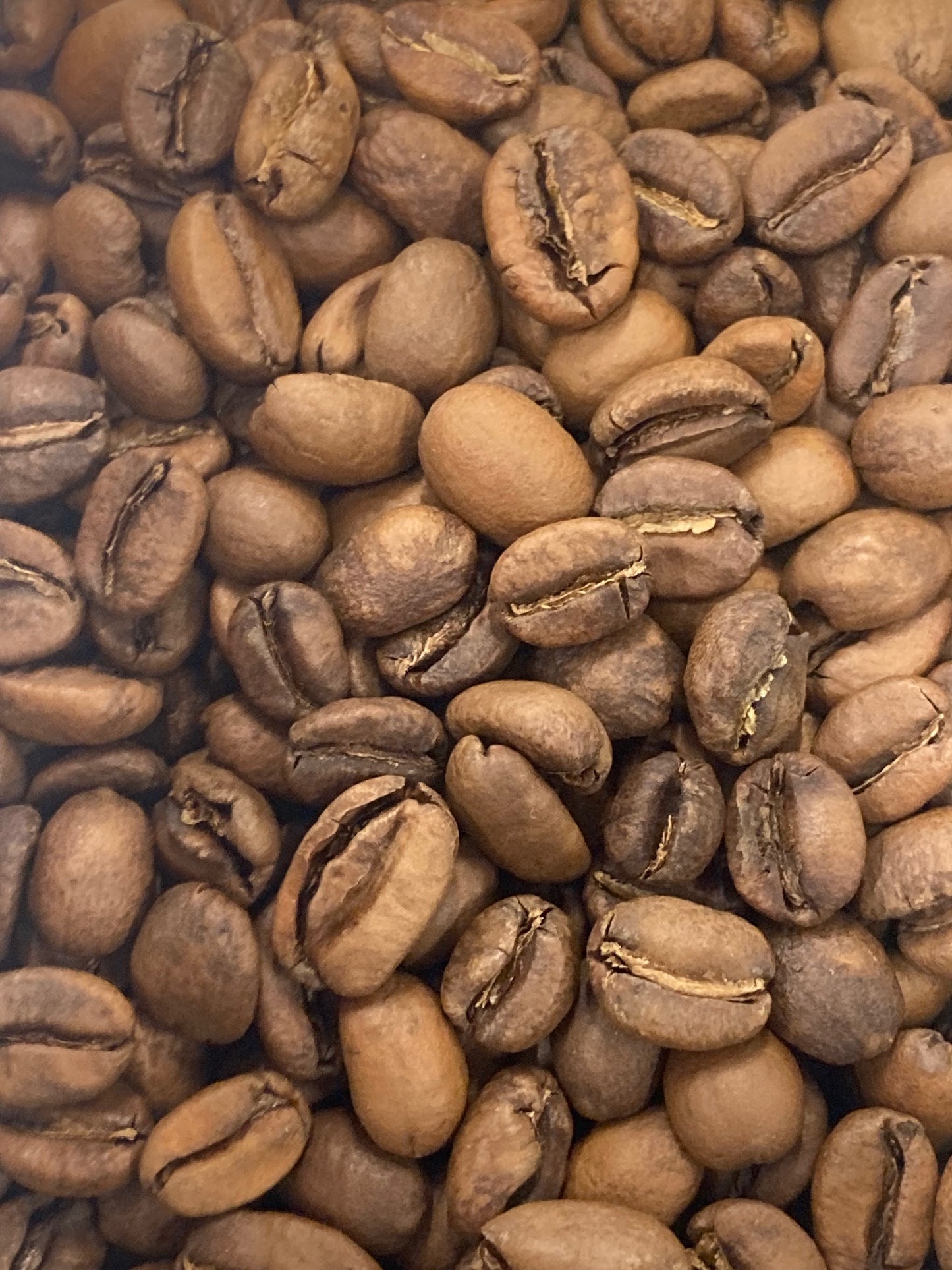 Ethiopia Konga