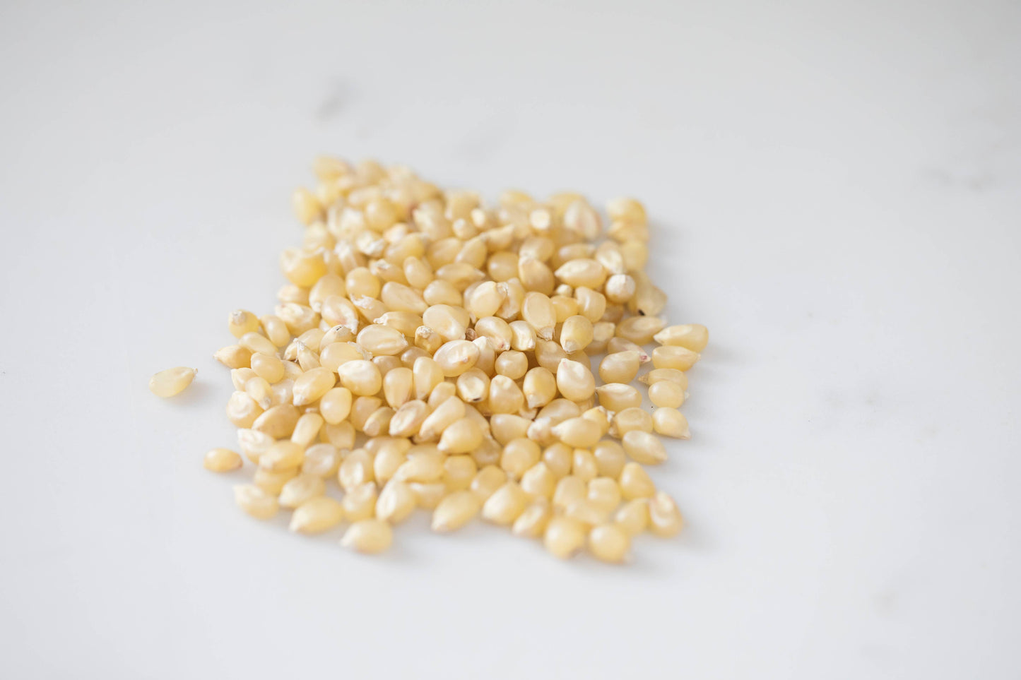 Medium White Hulless Popcorn