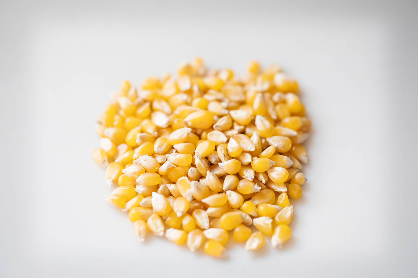 Ladyfinger Hulless Popcorn