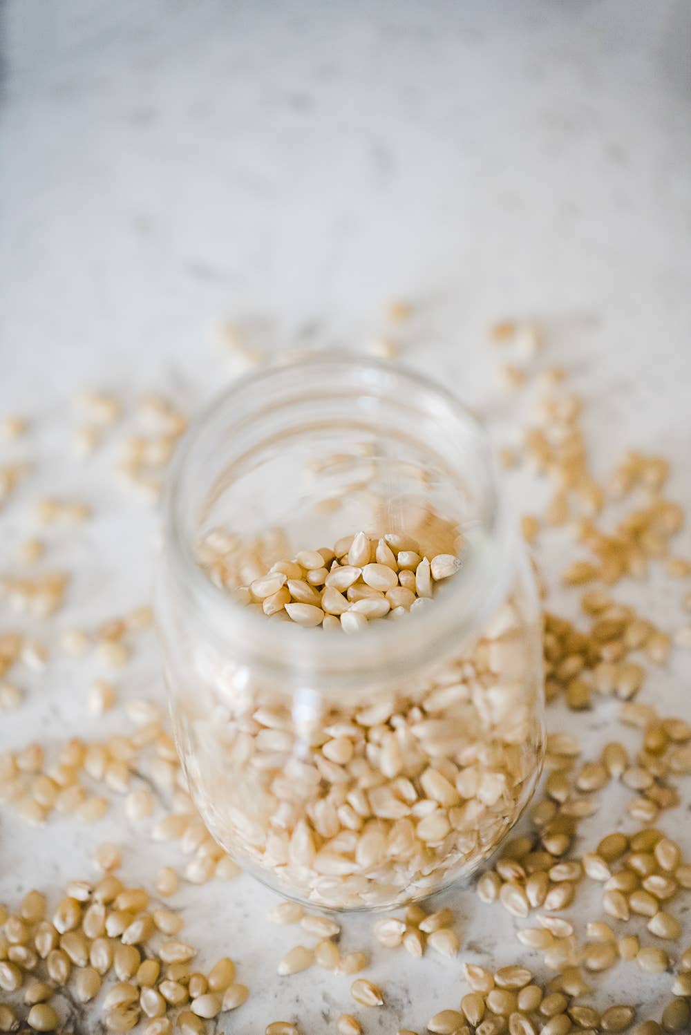 Medium White Hulless Popcorn