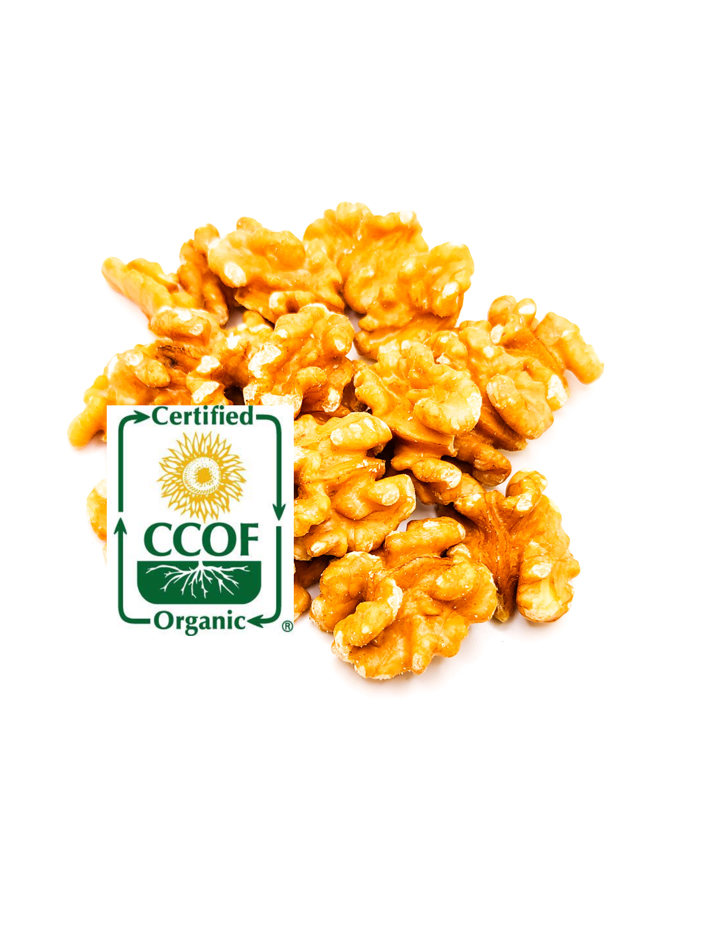 Organic Chandler Walnuts