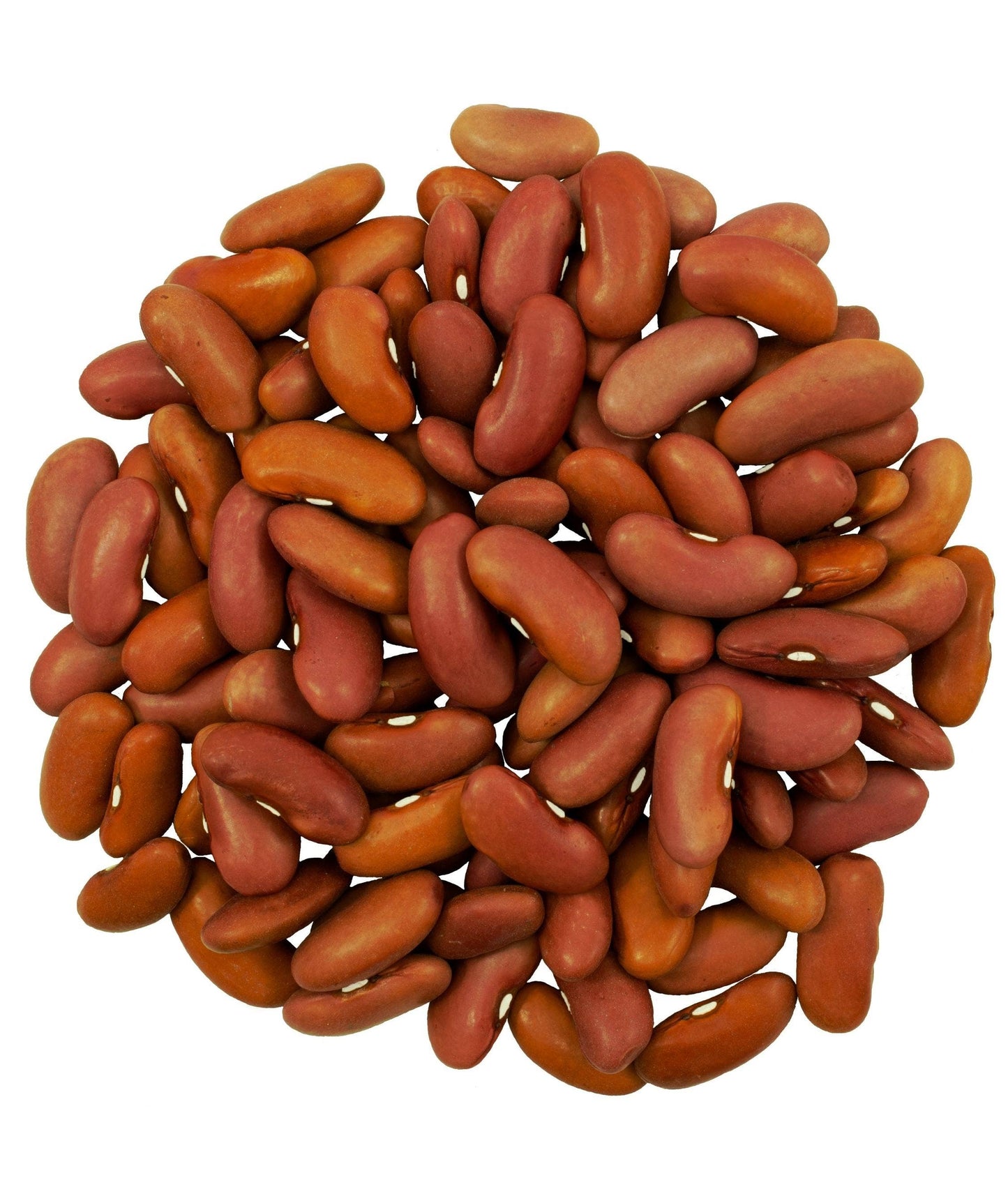 Kidney Beans
