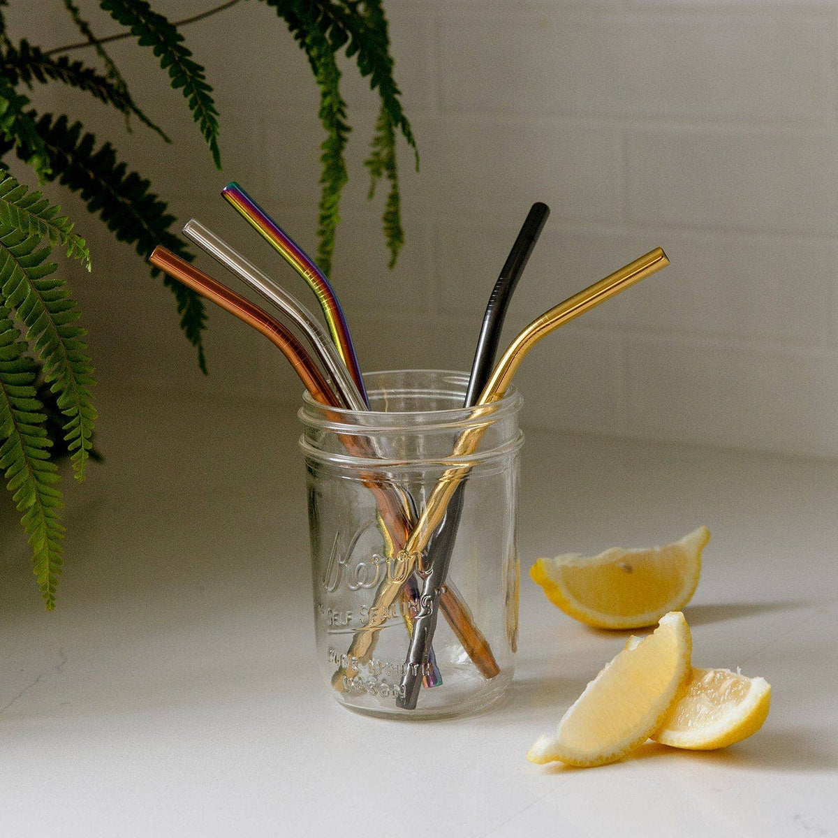Stainless Steel Straw- Straight or Bent, 5 Colors